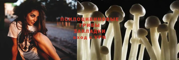 ECSTASY Инта