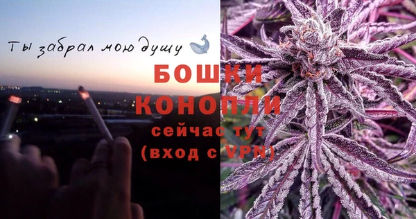 PSILOCYBIN Инсар