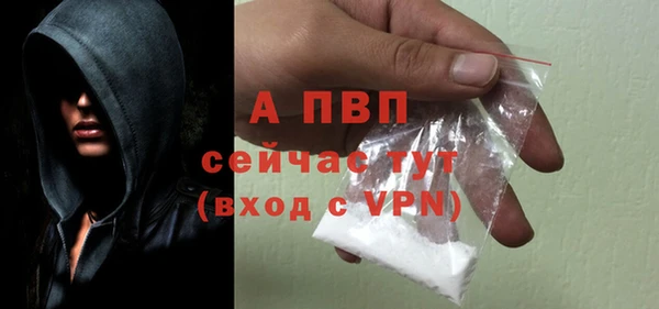 PSILOCYBIN Инсар