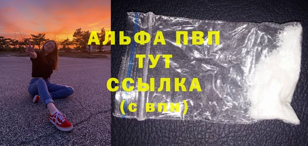 PSILOCYBIN Инсар