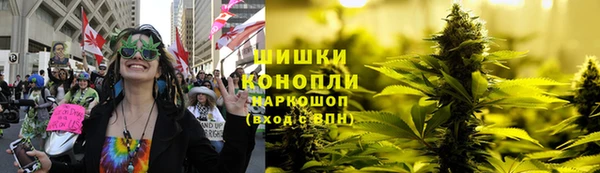 PSILOCYBIN Инсар