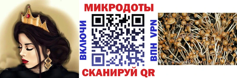 Галлюциногенные грибы Magic Shrooms  Купить закладки  Шадринск 